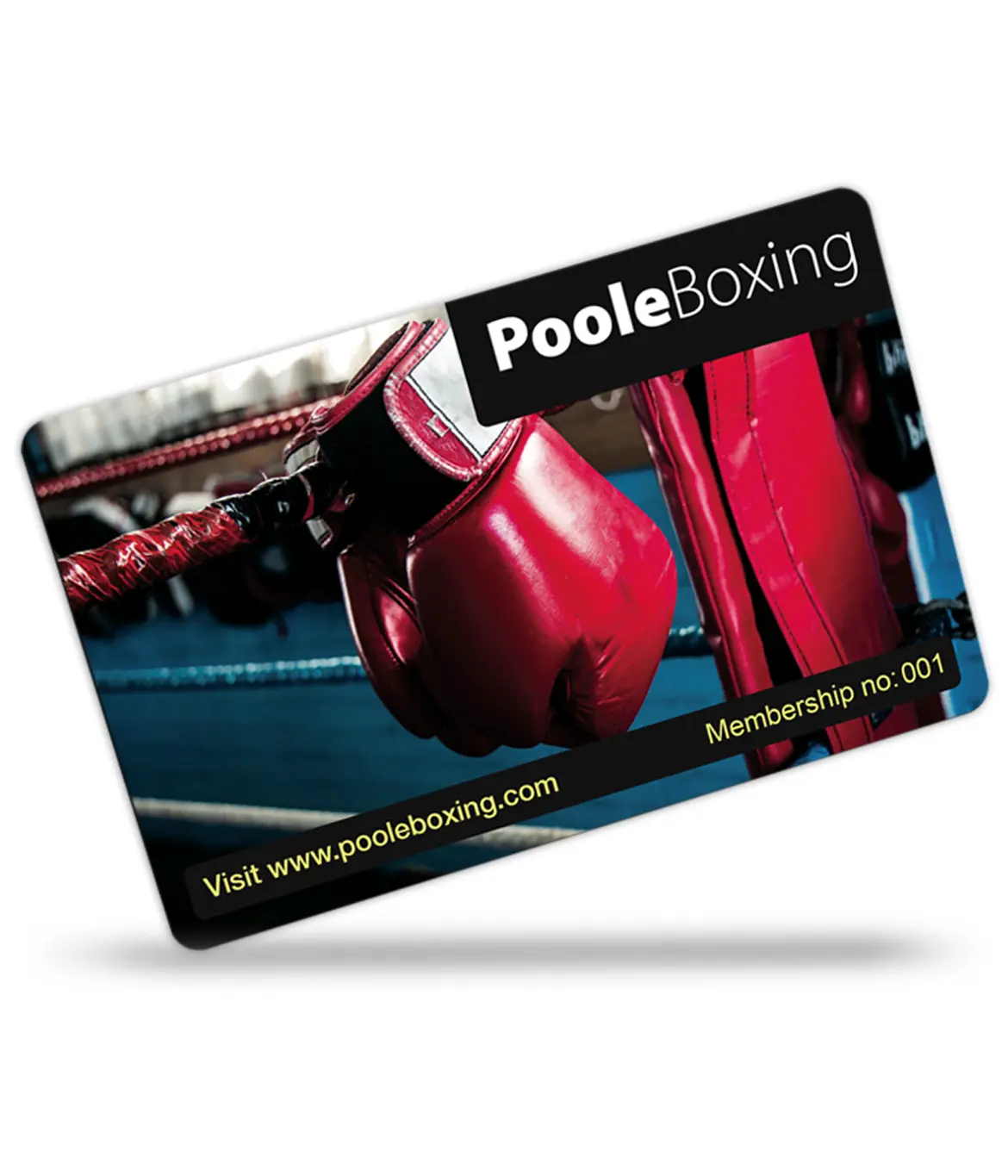 boxing club membership cards printed
