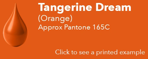 Orange - Approx Pantone: 165C