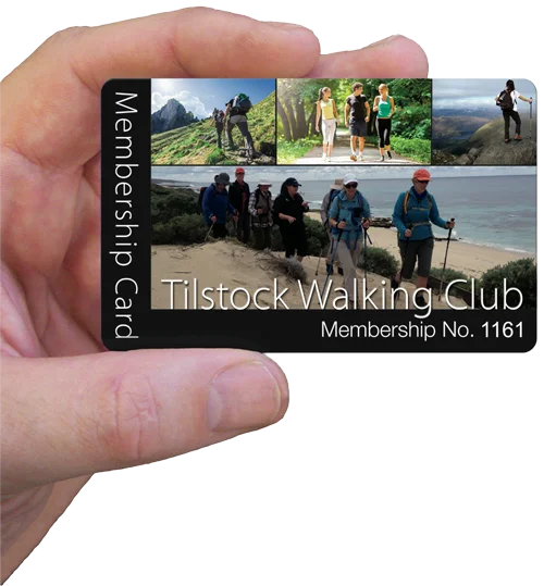 a photorealistic proof is emailed to you