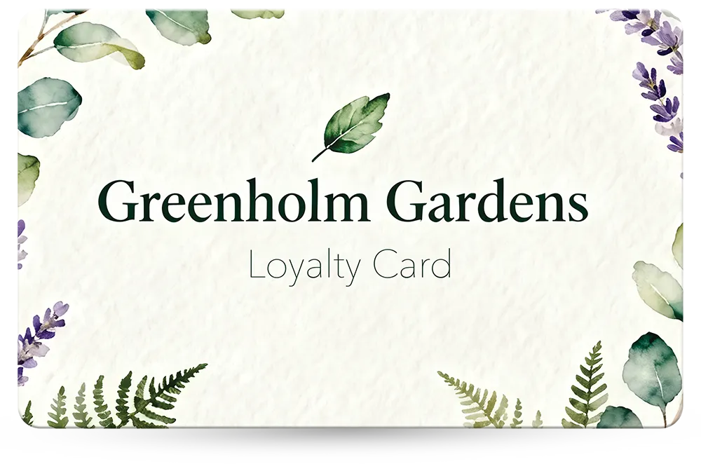 Loyalty Card Example 32