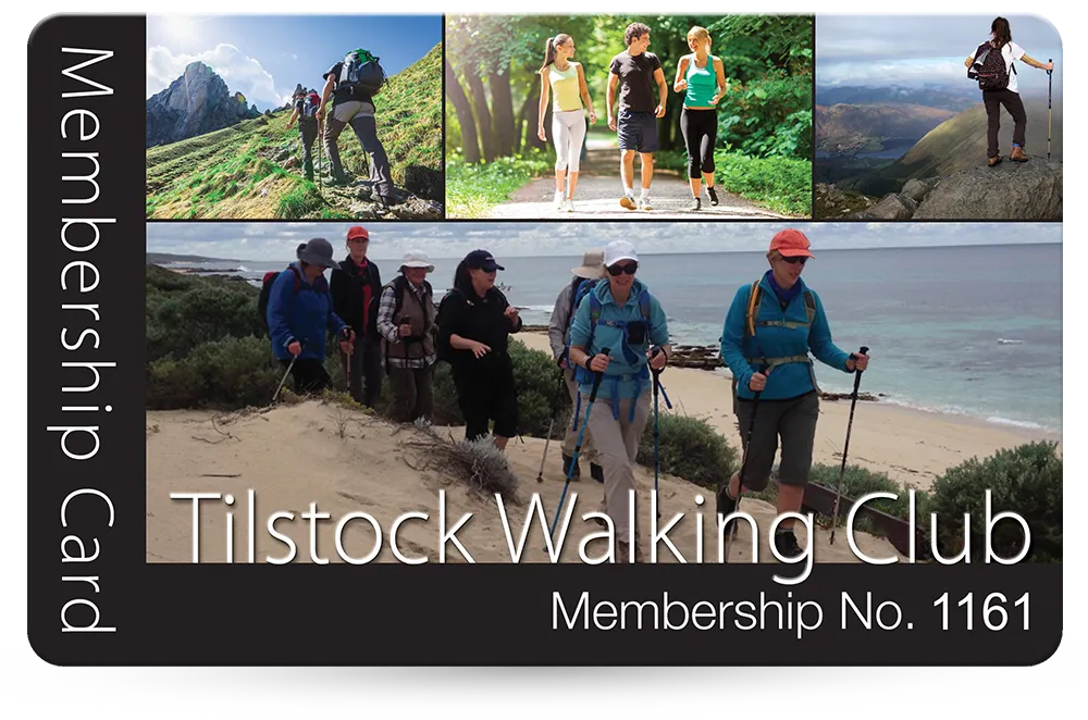 examples to give you ideas and inspiration