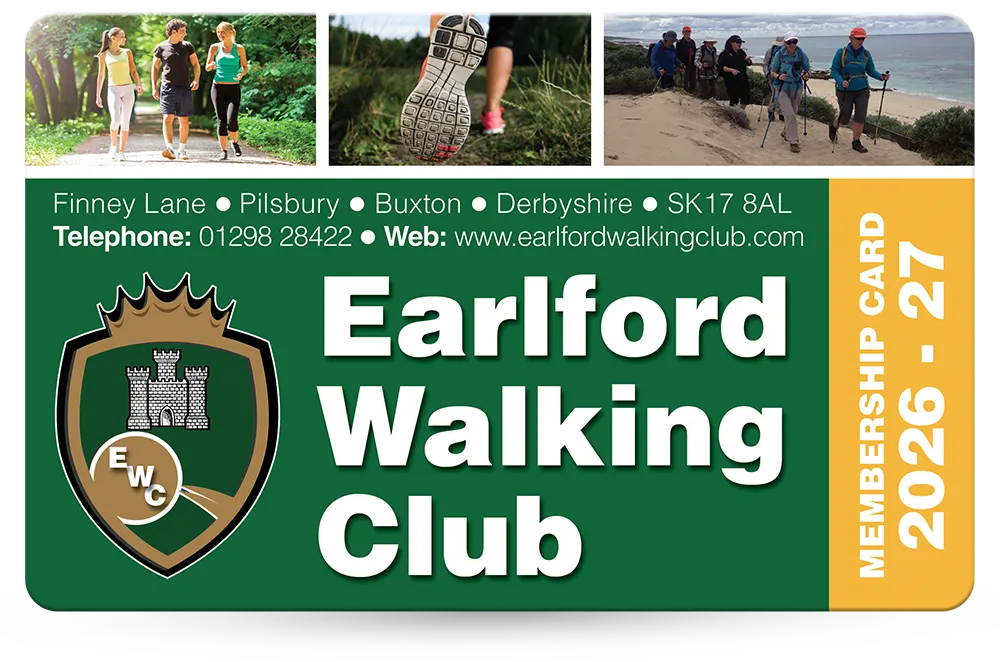 examples to give you ideas and inspiration