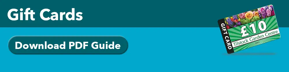 gift card artwork guide